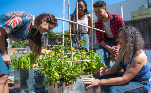 Bringing Agriculture and Food Careers to Life in the Classroom: AgCareers Releases New Classroom Implementation Kit